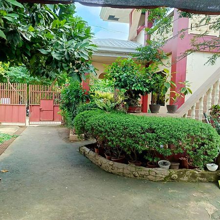 Peace Lily Studio Apartments Panglao Exteriér fotografie