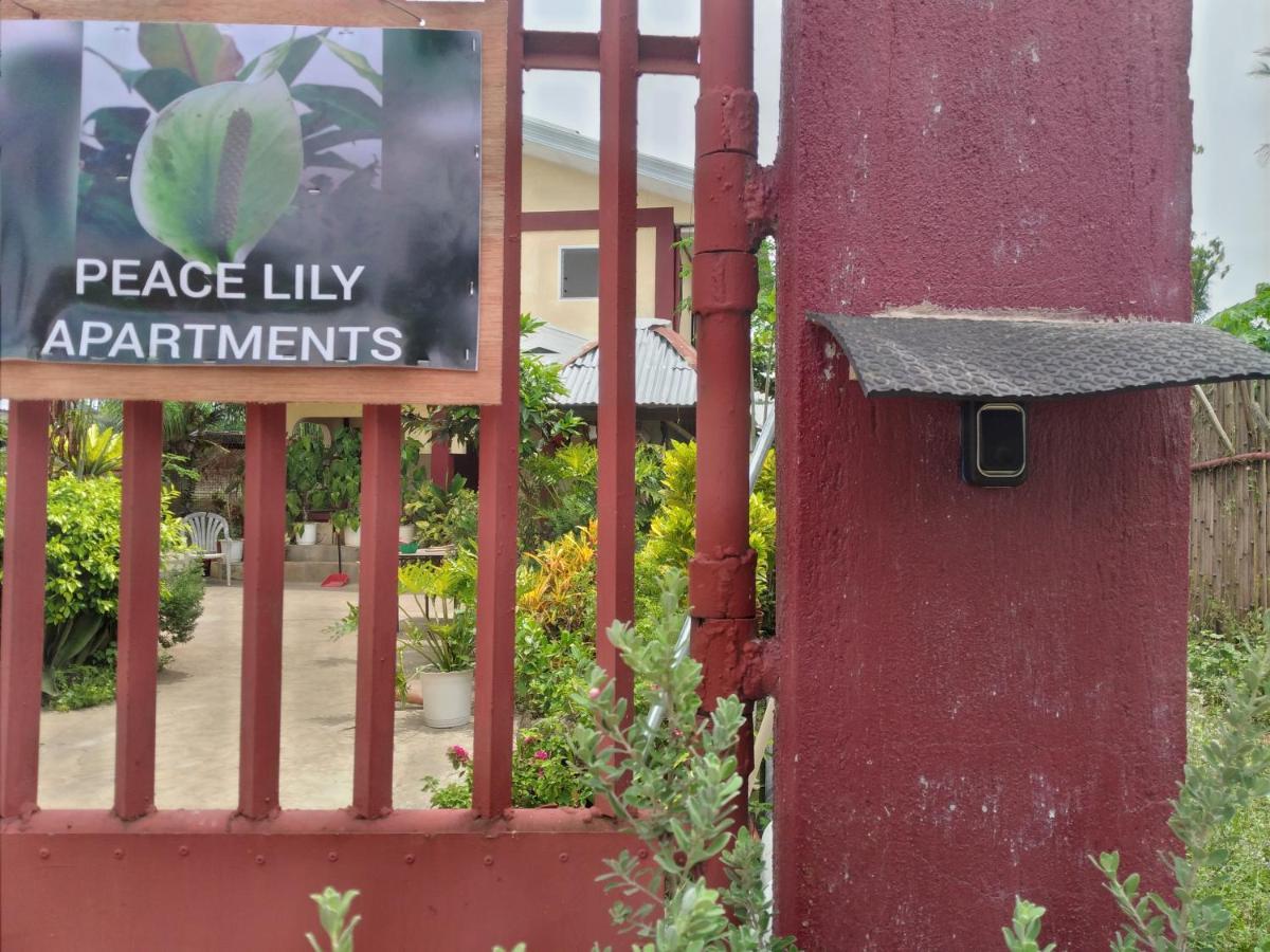 Peace Lily Studio Apartments Panglao Exteriér fotografie
