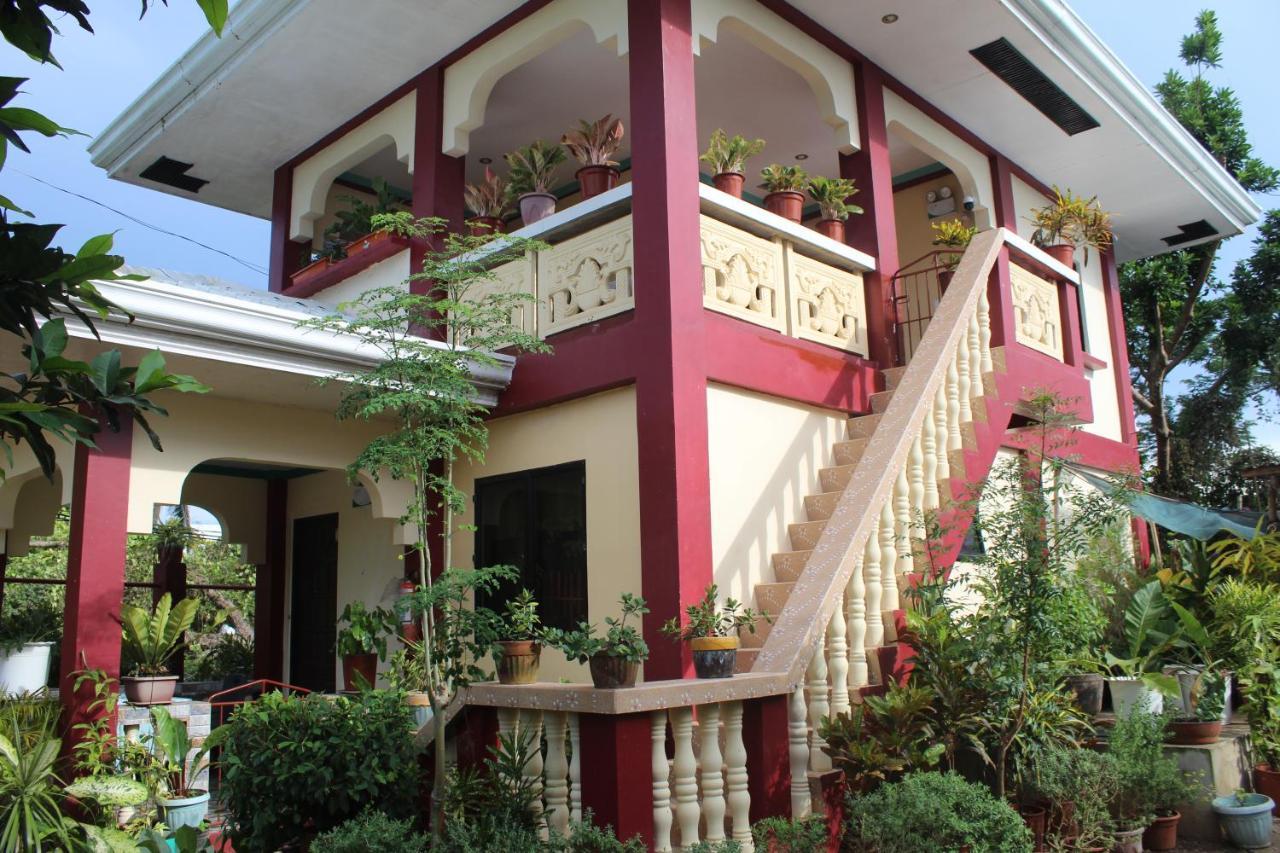 Peace Lily Studio Apartments Panglao Exteriér fotografie