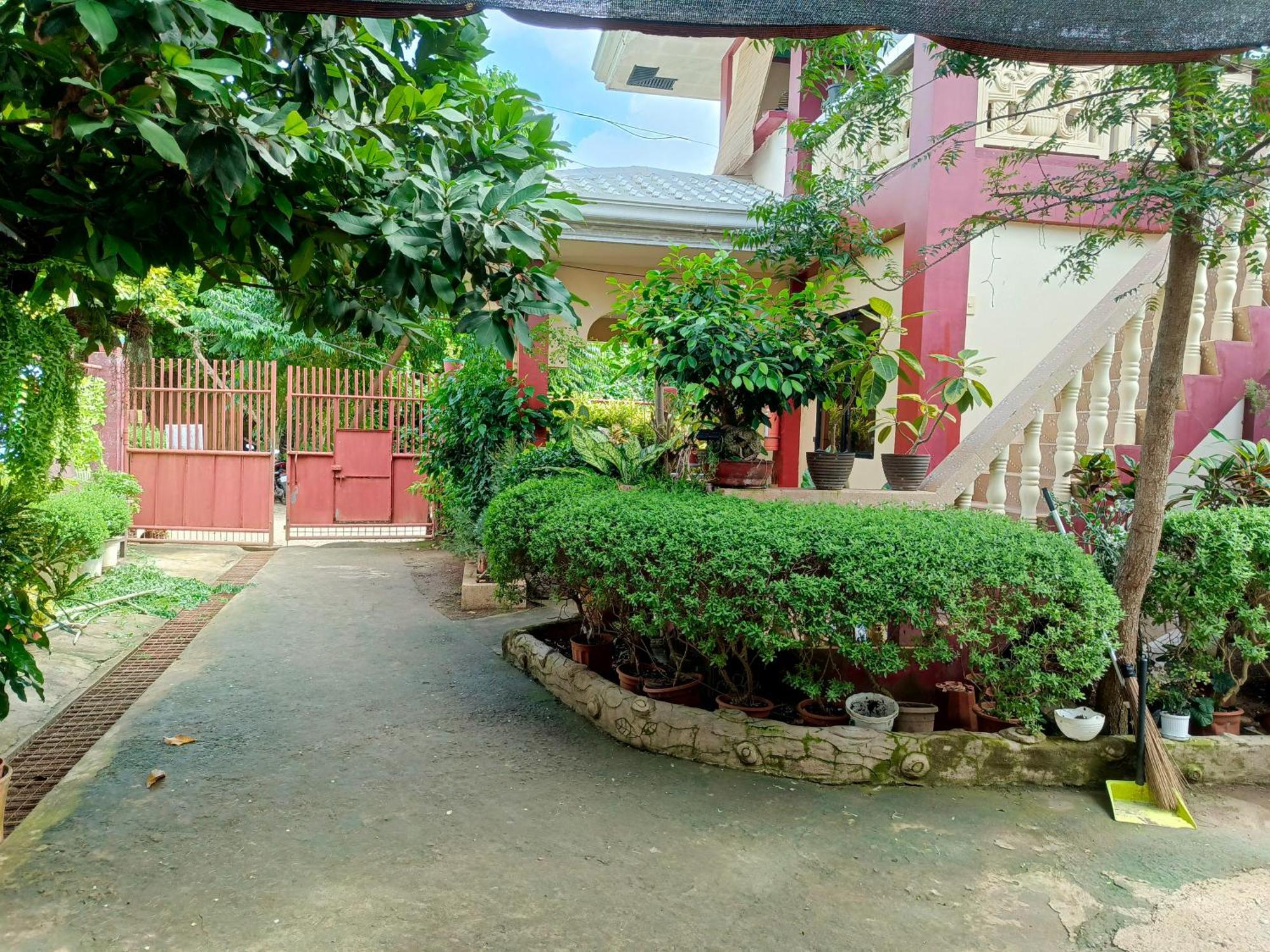 Peace Lily Studio Apartments Panglao Exteriér fotografie