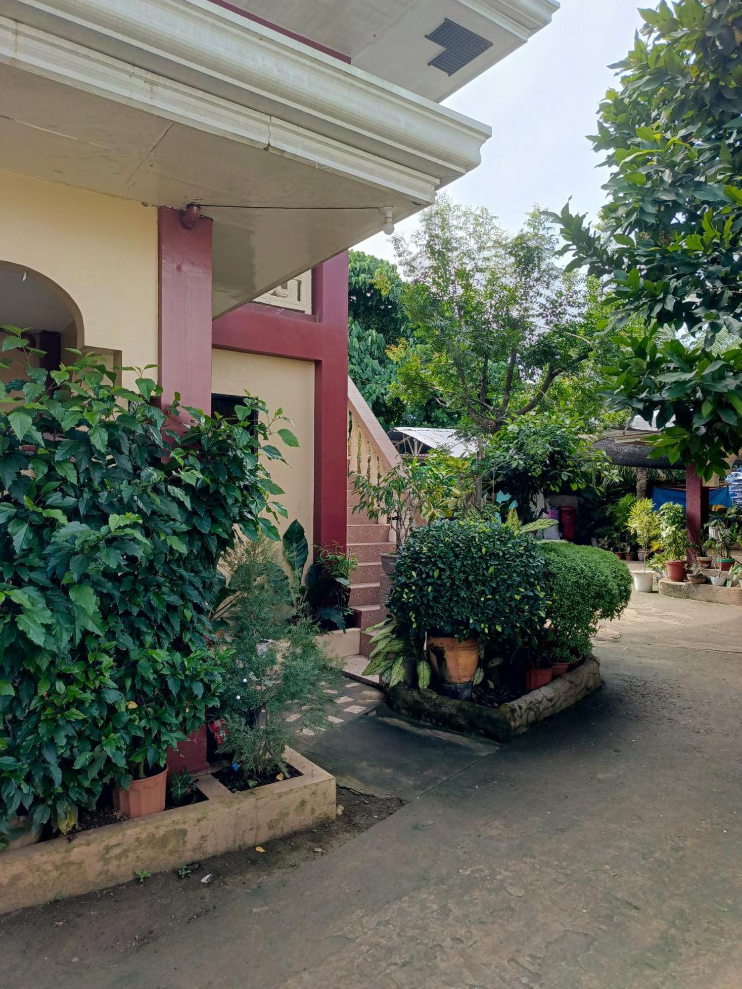 Peace Lily Studio Apartments Panglao Exteriér fotografie