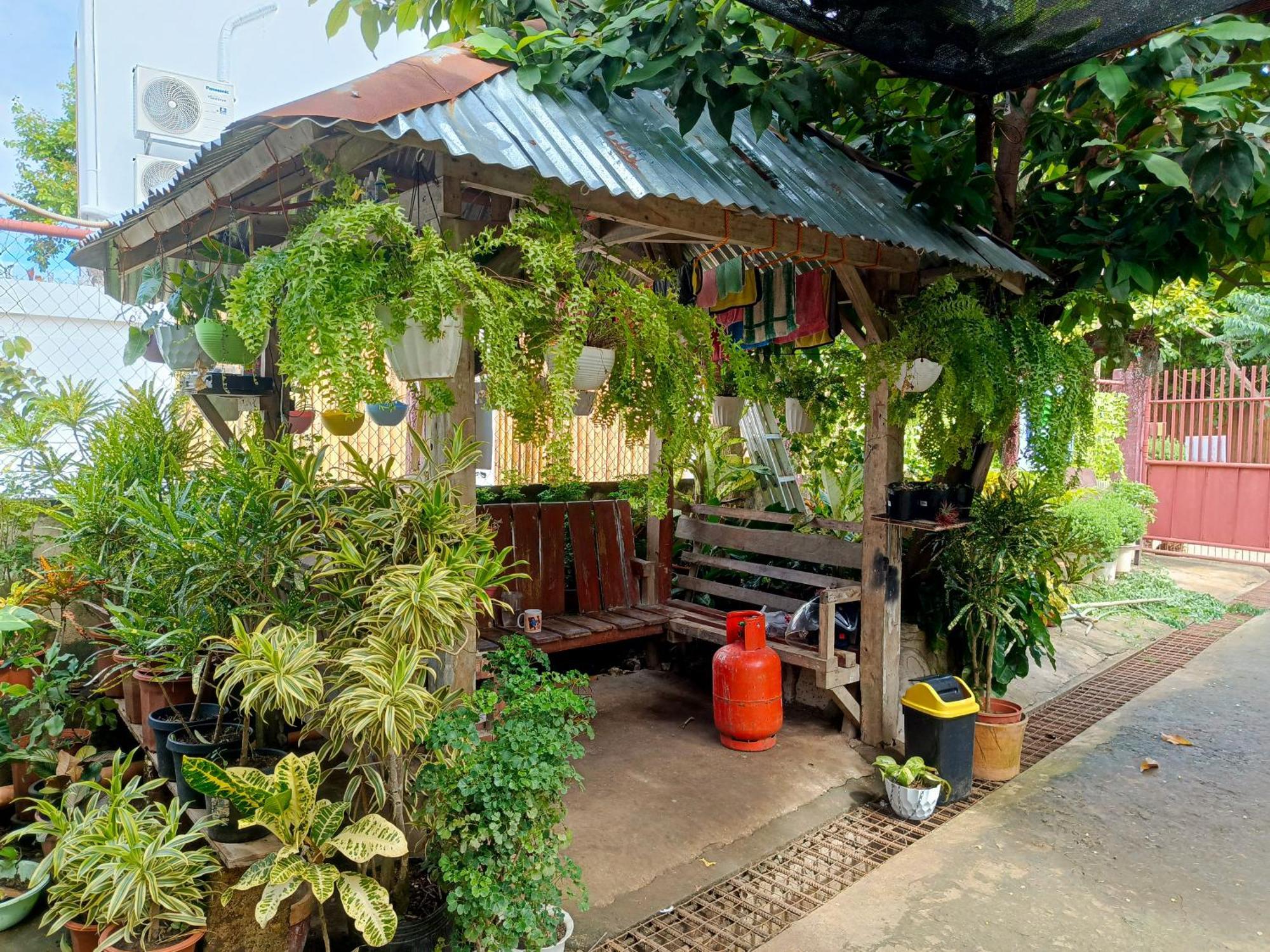 Peace Lily Studio Apartments Panglao Exteriér fotografie